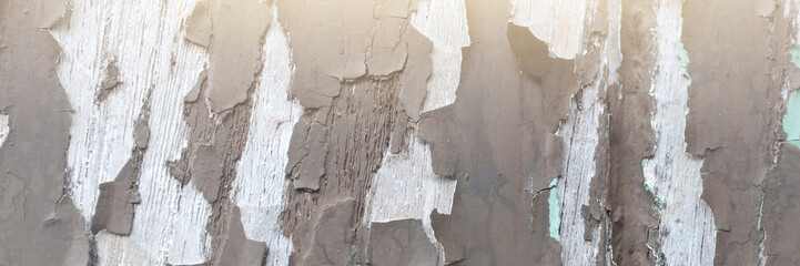The rotten wooden wall had peeling paint. Old time, decorated in vintage style.