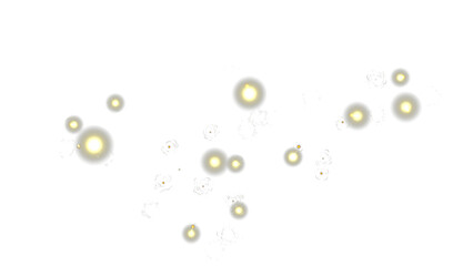 Bokeh effect isolated for editing design, bright light blurred circles with light noise.