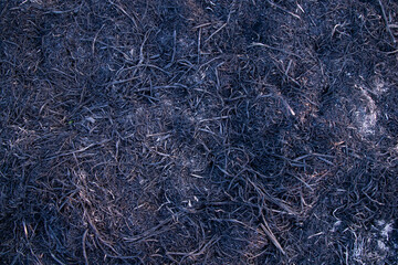 black Ash abstract background  in fireplace natural Texture