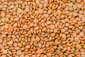 Close up of a group of lentil beans as a background