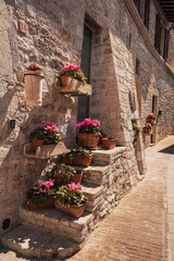 street view on a sunny spring day in the town of Assisi, Italy