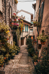 narrow street and flowers in the town of spello in umbria, italy