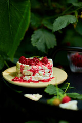 Cake with rice crisp bread and raspberry jam on a black background, outdoor garden fresh bush, sunlight. Easy food. Healthy layered dessert, Vegan, diet, organic natural birthday