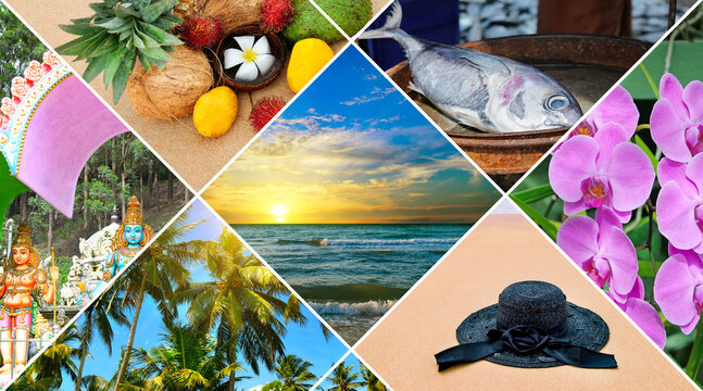 Collage of beach images - nature and travel background