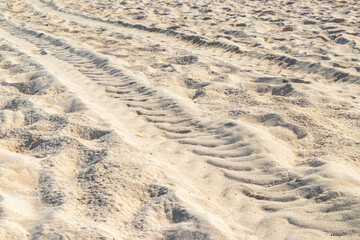 Ruts of an excavator in the beach sand in Mexico.