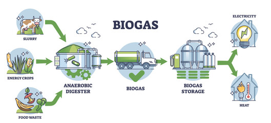 Biogas production stages with bio gas generation explanation outline diagram. Labeled educational scheme with process from slurry and crops to storage and heating or electricity vector illustration. - obrazy, fototapety, plakaty