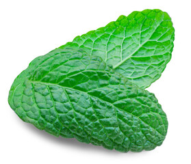 Obraz premium Fresh Minthol leaves isolated on the white background. Melissa, Peppermint leaf close up. Food macro concept..