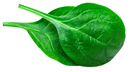 Pile of fresh green baby spinach leaves isolated on white background. Espinach Close up. Flat lay....