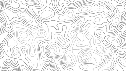 Topographic map. Geographic mountain relief. Abstract white topography vector background. Line topography map design. The concept of conditional geographical pattern and topography.	