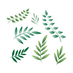 0901 Flat style vector leaves