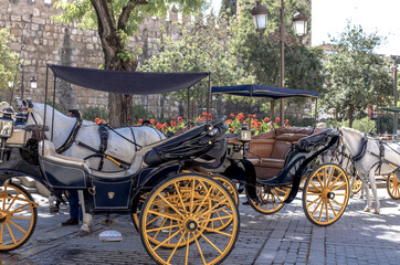 Plakat Typical horse-drawn carriages that tourists rent to tour the city