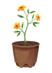 Flower growth stage in brown pot on white background. Vector illustration phase blooming of small flower