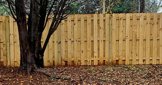 shadowbox fence