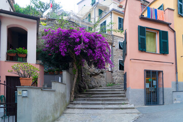 Fototapeta na wymiar Manarila picturesque town street of Cinque Terre, Italy
