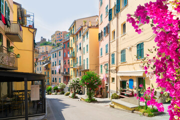 Fototapeta na wymiar street of Riomaggiore picturesque town of Cinque Terre with flowers, Italy