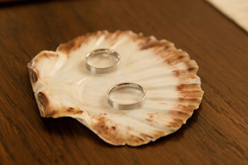 Silberne Eheringe auf einer Muschel für eine maritime Strandhochzeit - 559852379