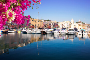 Marina Grande with boats and colorful old houses of Procida island with flowers, Italy