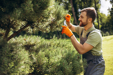 Garden worker trimming trees with scissors in the yard