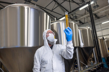 Fototapeta na wymiar Professional brewer analyzing a beer sample in a glass vessel (