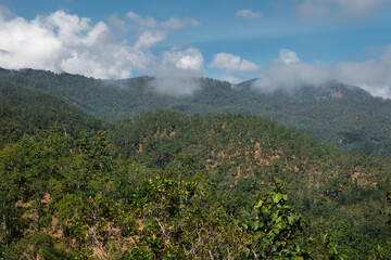 Tropical mountains, rainforest landscape from East Asia