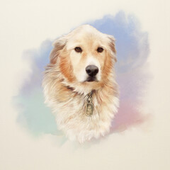 Illustration of a Golden Retriever. Guide dog, a disability assistance dog. Watercolor Animal collection: Dogs. Pet Portrait - Hand Painted Illustration of Pet. Good for banner, T-shirt, card.