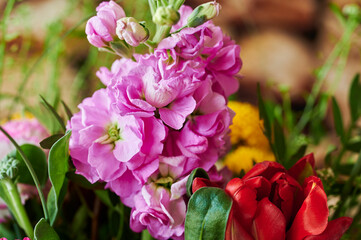 Obraz premium Colorful bouquet, which was put together from seasonal garden flowers.