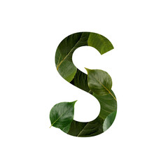 transparent natural green leaf alphabet letter s