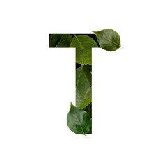 transparent natural green leaf alphabet letter t