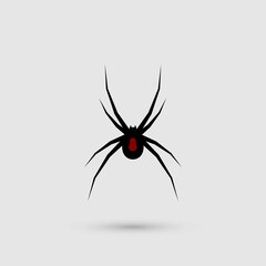 Silhouette of black spider.Spider close-up. Vector spider