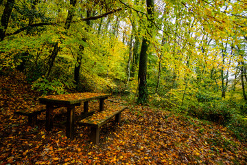 bench in autumn park