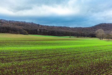 Kurze Wanderung um die wunderschönen Drei Gleichen im Thüringer Becken - Drei Gleichen - Deutschland