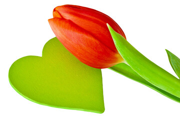 Rote Tulpe und grünes Herz    Hintergrund transparent PNG cut out