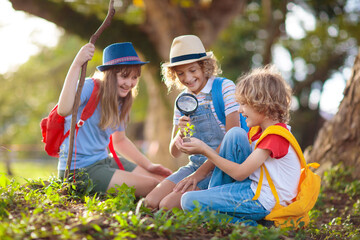 Fototapeta Kids explore nature. Children hike in sunny park. obraz