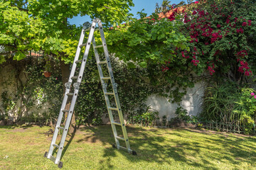 Aluminium ladder on the grass in the house garden