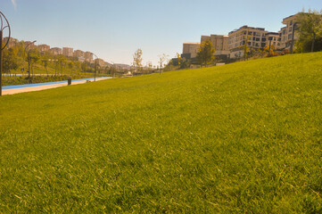 spring in the city