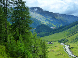 Fototapeta na wymiar Landschaft im Hochgebirge mit Flusslauf im Tal und Nadelbäumen im Vordergrund