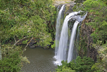 Obraz premium Side view at Whangarei Falls - New Zealand