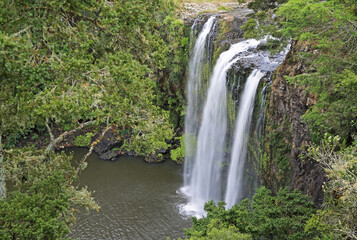 Side view at Whangarei Falls - New Zealand