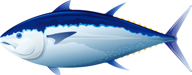 Atlantic bluefin tuna fish in side view, realistic sea fish illustration on white background, commercial and recreational fisheries