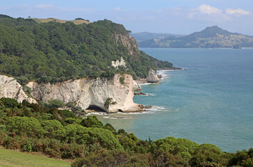 Cathedral Cove cliffs - Coromandel Peninsula, New Zealand