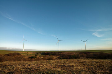 Farma wiatrowa na polach uprawnych. Darmowa energia z wiatru, odnawialne źródło energii. Pola w Polsce w okolicach Tomaszowa Lubelskiego.