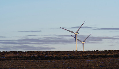 Farma wiatrowa na polach uprawnych. Darmowa energia z wiatru, odnawialne źródło energii. Pola w...