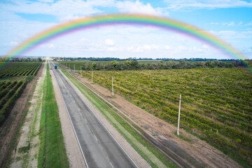 Rainbow over the road passing through the countryside with vineyards. Shooting from a drone.