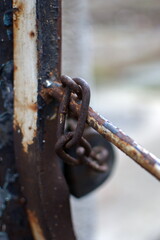 Iron rusty lattice door locked with metal chain and padlock