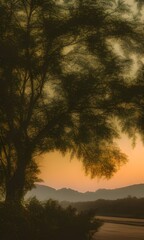Obraz premium sunset in the forest