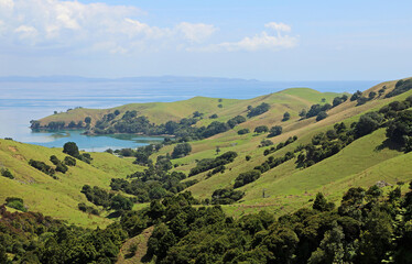 Fototapeta na wymiar Kirita Bay - Coromandel Peninsula, New Zealand