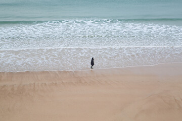 une personne se balade sur une plage 