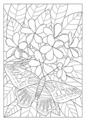 Digital illustration. Contour image of a tropical butterfly on flowers. Picture for coloring