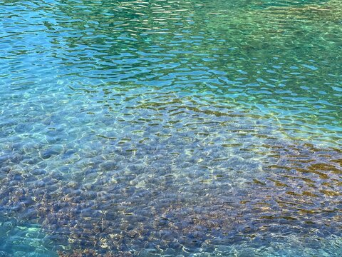 Turquoise sea water clear with algae.