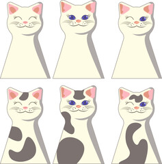 Icon set with smiling and winking blue eyes white and gray cat